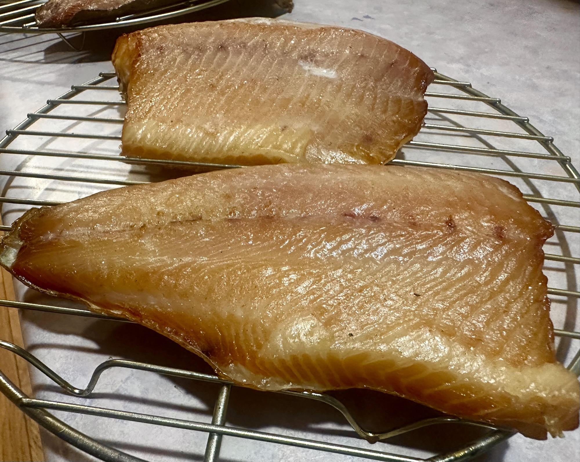 Salvelinus namaycush